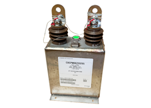 CAPACITOR